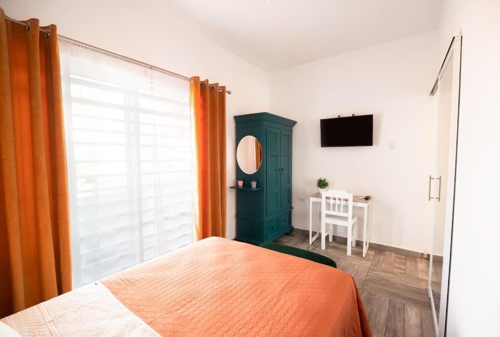 New Apt Super Cozy & Pet Friendly Close To Marina #3 La Paz Dış mekan fotoğraf